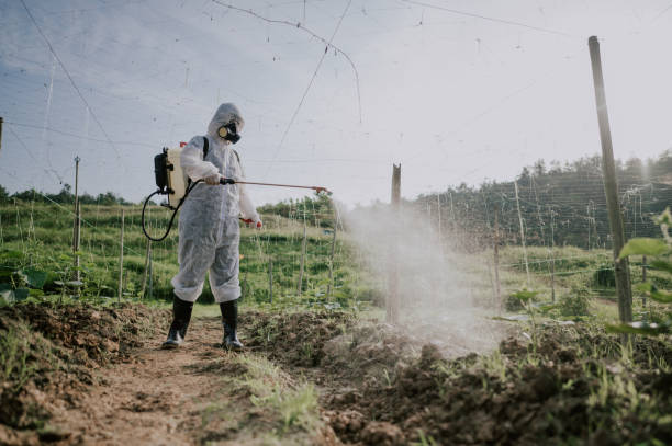Pest Control Cost in Independence, KY